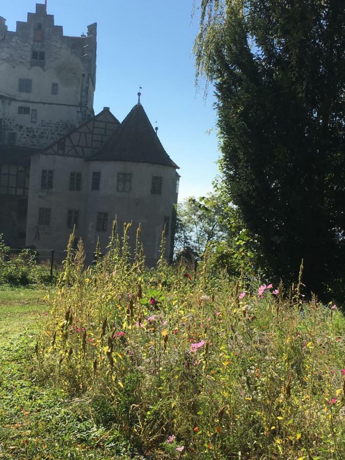 Ferienwohnungen Greitmann Meersburg Esterno foto